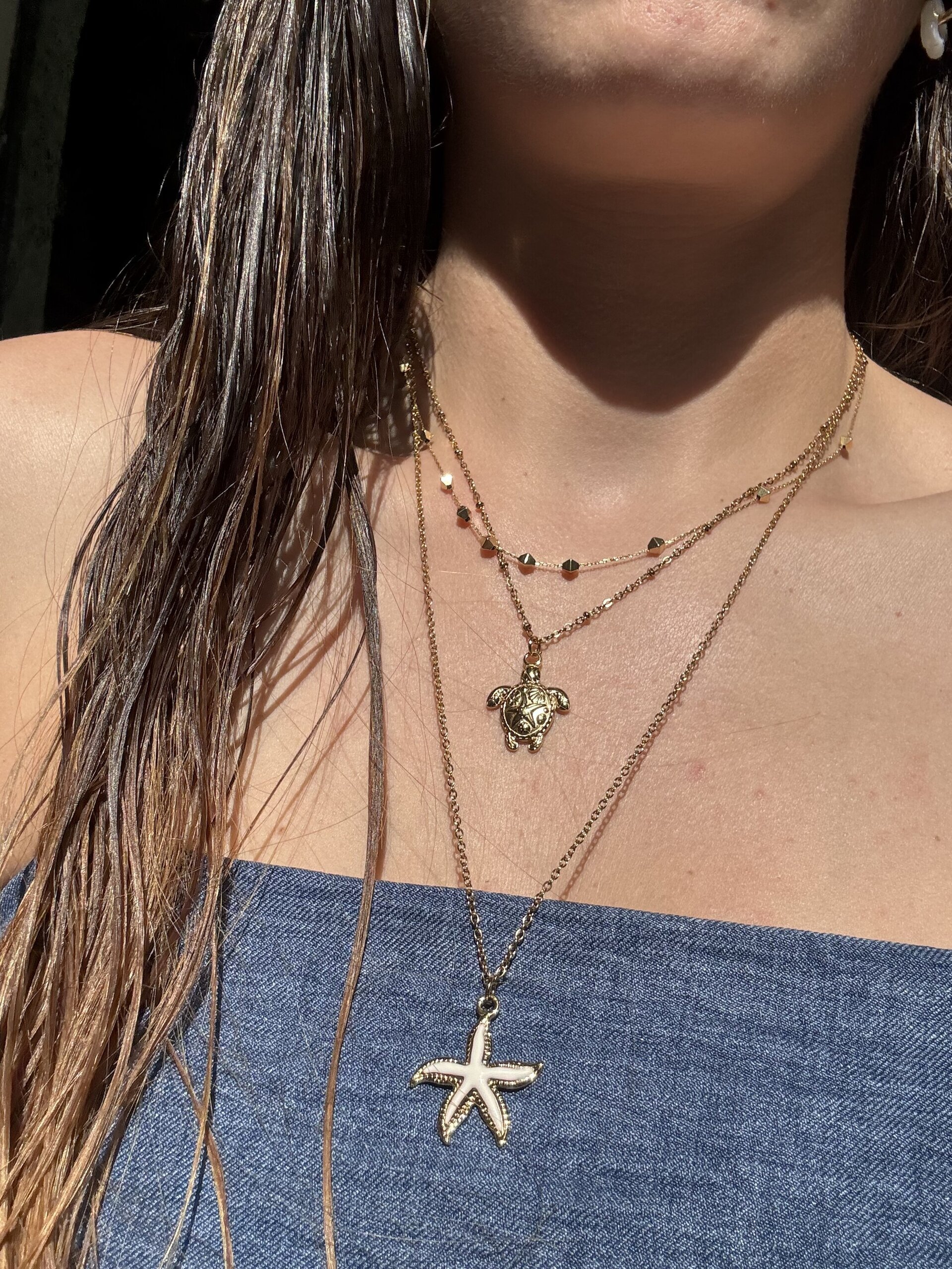 Collar Tortuga 🐢 - 2